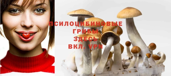 ГАЛЛЮЦИНОГЕННЫЕ ГРИБЫ Армянск
